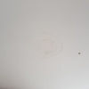 Tapar humedades con agujero techo y pintar comedor
