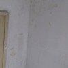 Pintar paredes y techos piso 65m