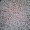 Pulir Suelo Vivienda (Parcial)