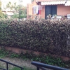 Arreglo jardin