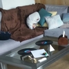 Limpieza y desinfección de sofa a domicilio