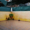 Pérgola