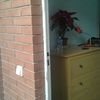 Instalar Puerta de Seguridad