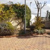 Hacer puesta a punto de jardín
