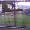 Instalar Cercados de malla o similar