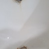 Esmaltar Bañera