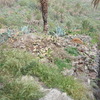 Construir Muro Piedra