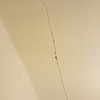 Pequeños Trabajos Albañilería