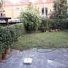 Desbrozar Jardín
