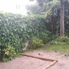 Hacer puesta a punto de jardín