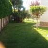 Mantener Jardín