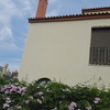 Pintar fachada