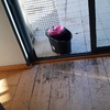 Reforma parcial vivienda