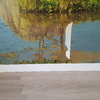 Insonorizar Vivienda Parcial