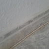 Poner Parquet o Tarima Vivienda (Completa)