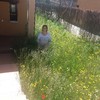 Hacer puesta a punto de jardín