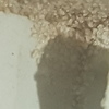 Fumigación o Desinsectación