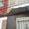Pequeños Trabajos Albañilería
