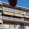Instalar Toldo Vivienda