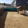 Reforma patio