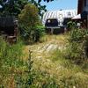 Hacer puesta a punto de jardín