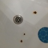 Esmaltar Bañera