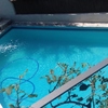 Reforma Piscina