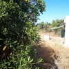 Desbrozar Jardín