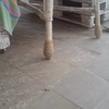 Limpieza Vivienda (1 vez)