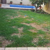 Mantener Jardín