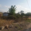 Desbrozar Jardín