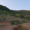 Movimiento de Tierras