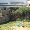 Desbrozar Jardín