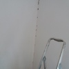 Insonorizar Vivienda