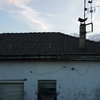 Reforma Integral Tejado Casa (Unifamiliar)