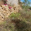 Construir Muro Piedra
