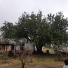 Retirar amianto - uralita