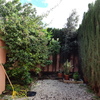 Hacer puesta a punto de jardín