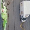 Mudanza con Elevador