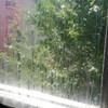 Limpieza de Cristales