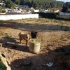Zuncho perimetral en vilanova geltru