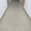 Pulir Suelo Vivienda (Parcial)