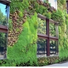 Diseñar Jardin vertical