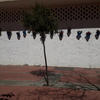 Proyecto y Reforma Local Comercial