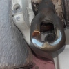 Reparar Toldo
