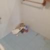 Limpieza Vivienda (1 vez)