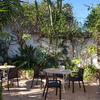 Desbrozar Jardín