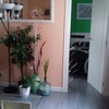 Reforma parcial vivienda