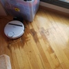 Poner Parquet o Tarima Vivienda (Parcial)