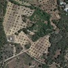 Proyecto de segregación